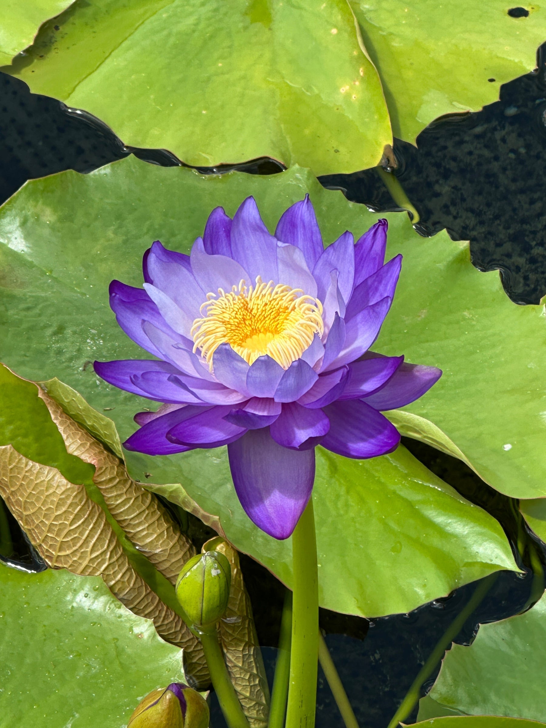 Choosing Growth Over Damage