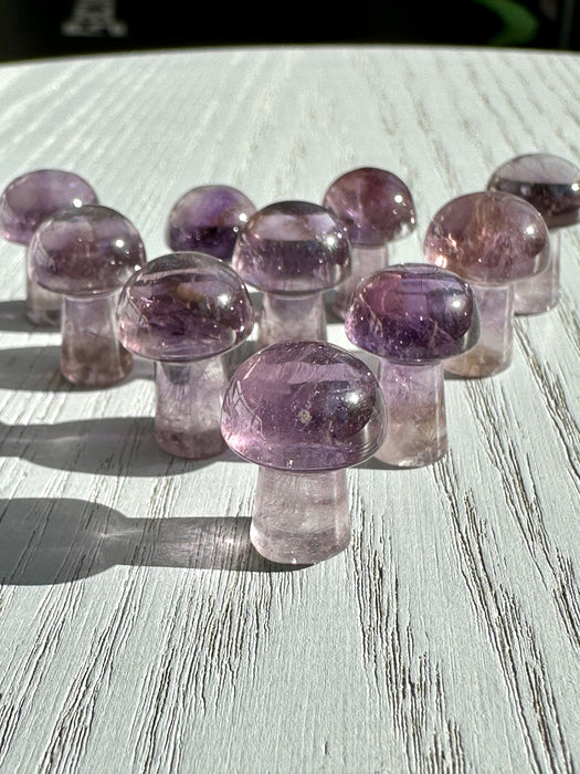 Amethyst Crystal Mini Mushrooms Ametrine