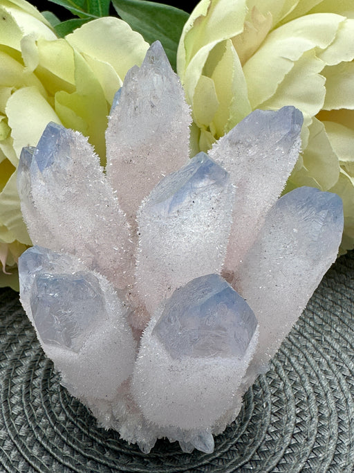 Lilac Phantom Quartz Seed Cluster Crystal