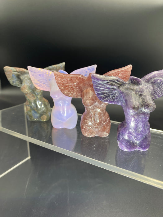 Assorted Winged Angels