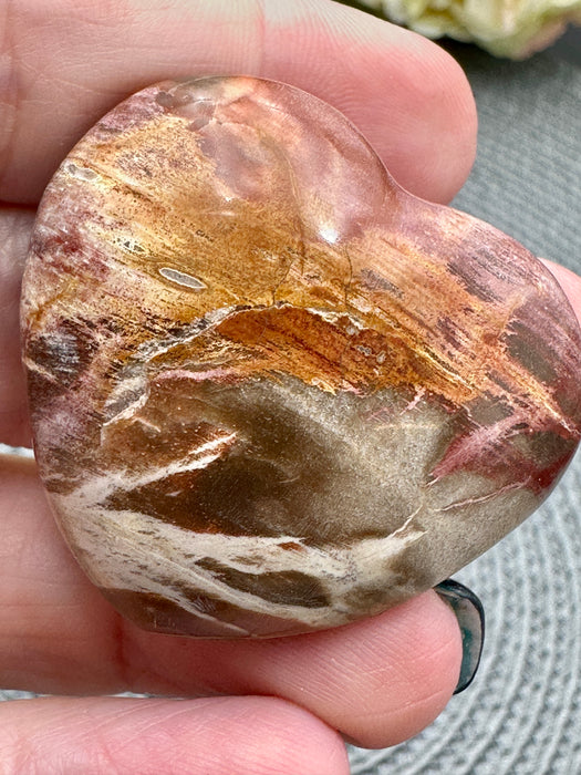 Petrified Wood Hearts - Various Choices