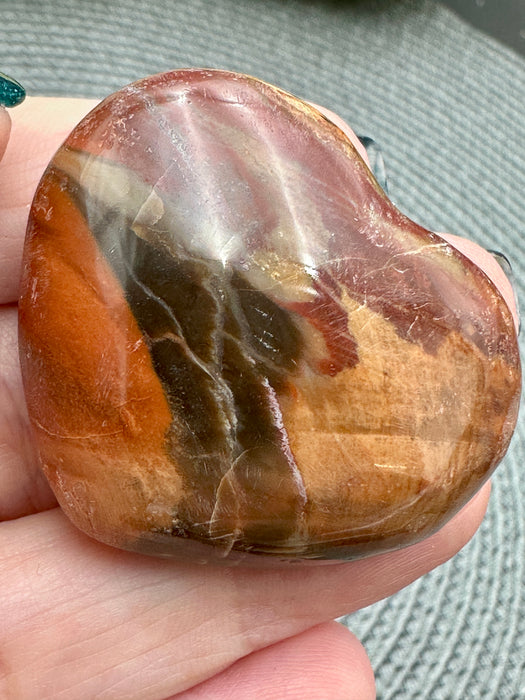 Petrified Wood Hearts - Various Choices