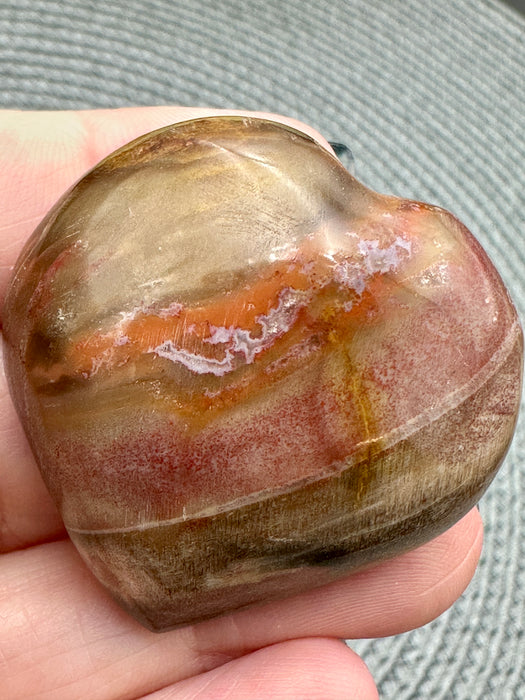 Petrified Wood Hearts - Various Choices