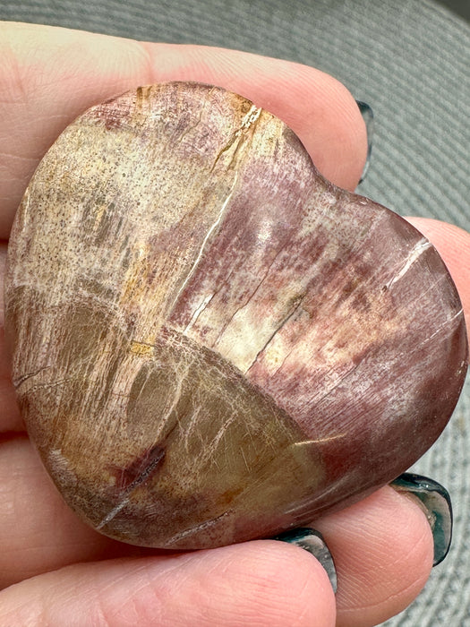 Petrified Wood Hearts - Various Choices