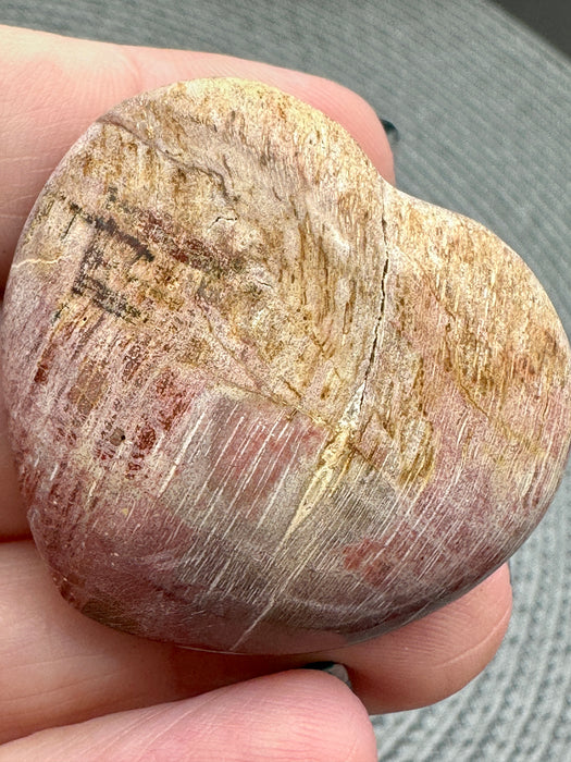 Petrified Wood Hearts - Various Choices