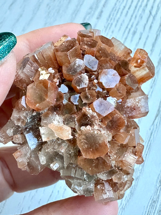 Orange 'Sputnik' Aragonite Raw Cluster Specimens - Various Choices