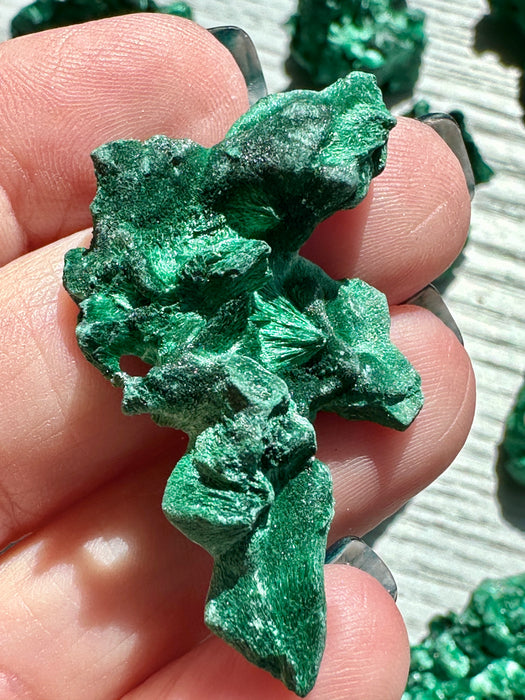 Malachite Raw Specimen - Various Choices