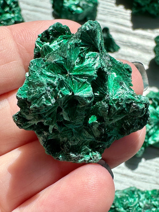 Malachite Raw Specimen - Various Choices