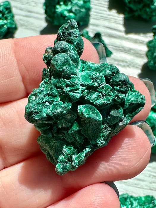 Malachite Raw Specimen - Various Choices