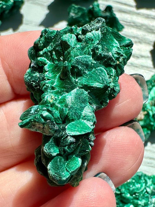 Malachite Raw Specimen - Various Choices