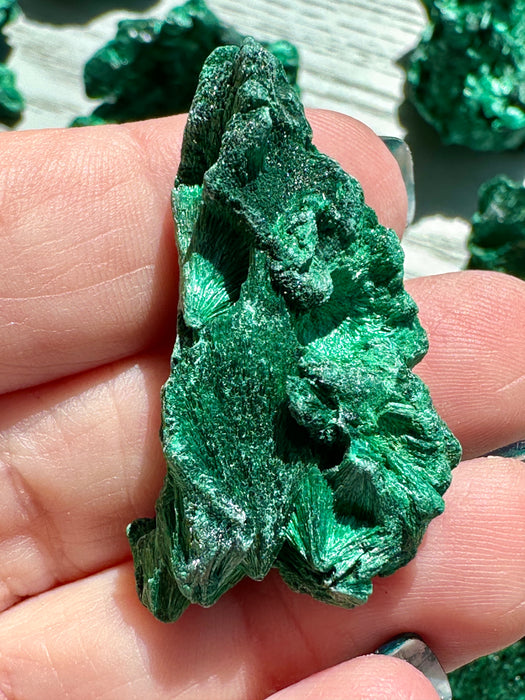 Malachite Raw Specimen - Various Choices