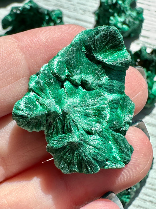 Malachite Raw Specimen - Various Choices