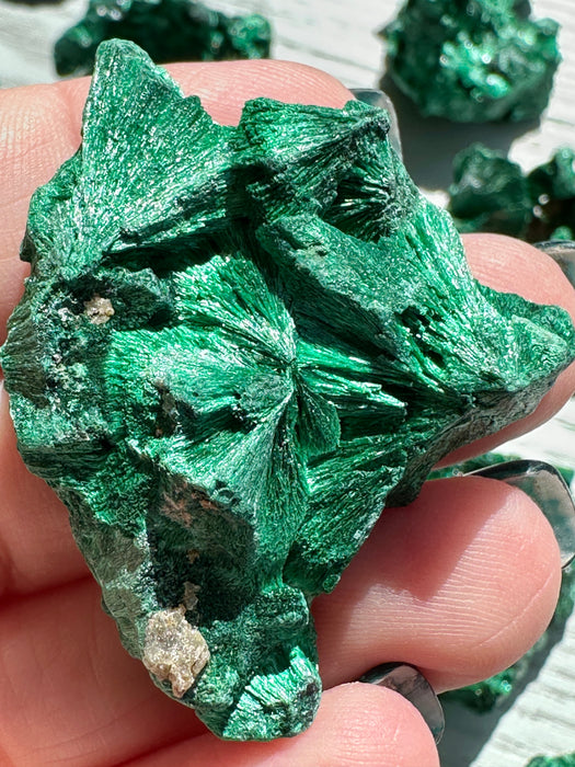 Malachite Raw Specimen - Various Choices