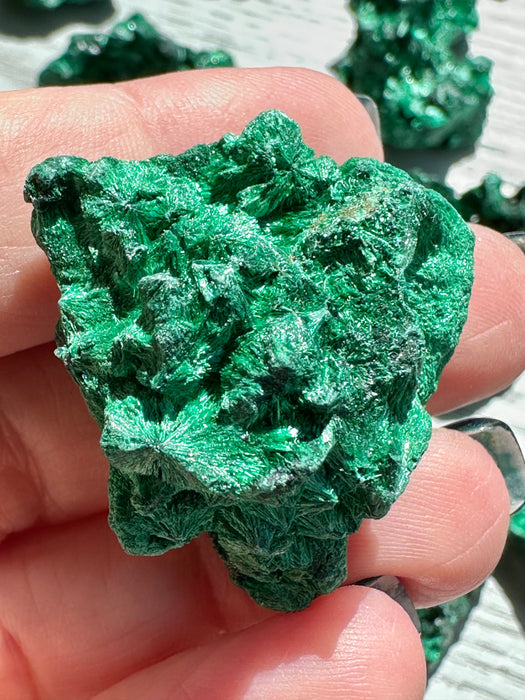 Malachite Raw Specimen - Various Choices