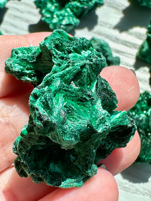 Malachite Raw Specimen - Various Choices