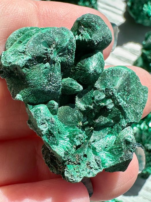Malachite Raw Specimen - Various Choices
