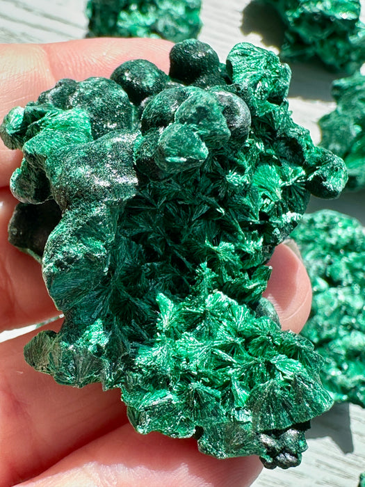 Malachite Raw Specimen - Various Choices