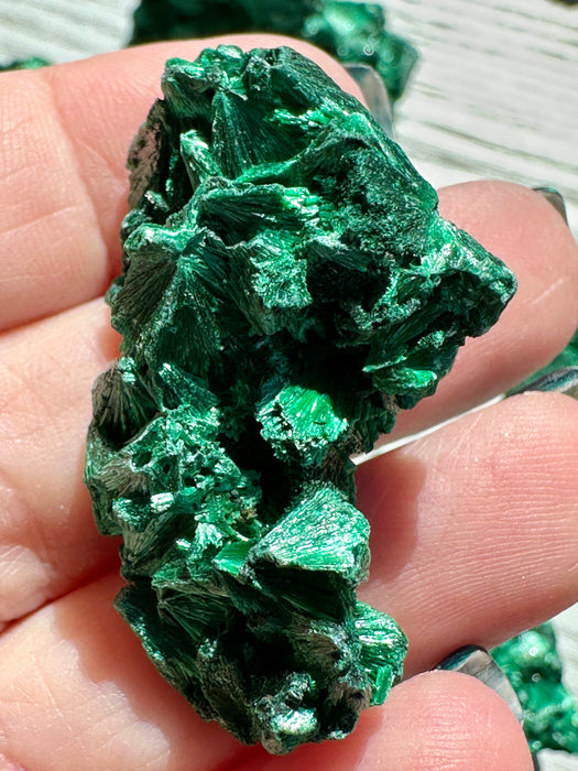 Malachite Raw Specimen - Various Choices
