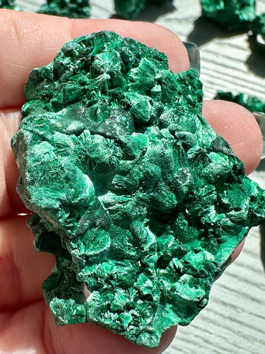 Malachite Raw Specimen - Various Choices