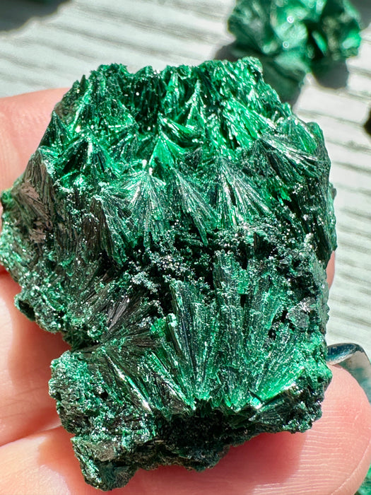 Malachite Raw Specimen - Various Choices