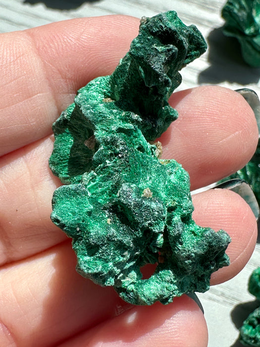 Malachite Raw Specimen - Various Choices