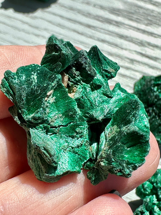 Malachite Raw Specimen - Various Choices