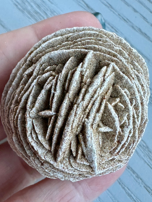 Desert Rose Large Specimen - Various Choices