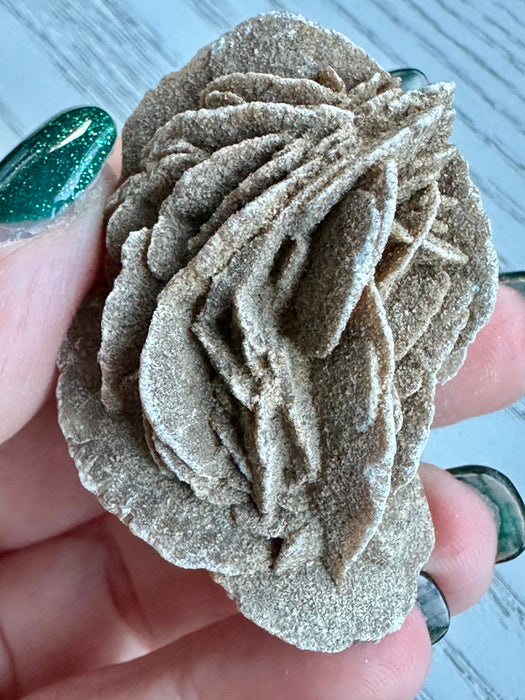 Desert Rose Large Specimen - Various Choices