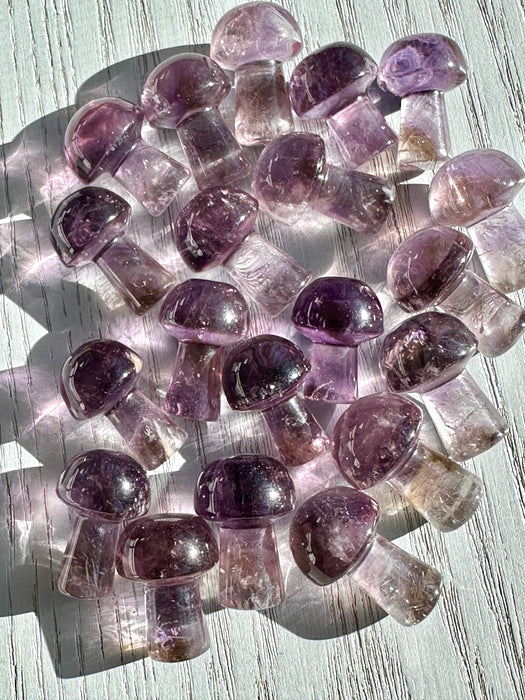 Amethyst Crystal Mini Mushrooms Ametrine