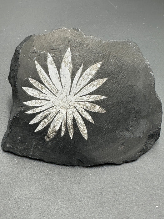 Chrysanthemum Stone - Various Options
