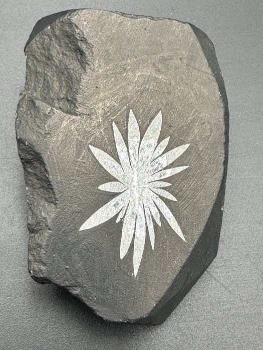 Chrysanthemum Stone - Various Options