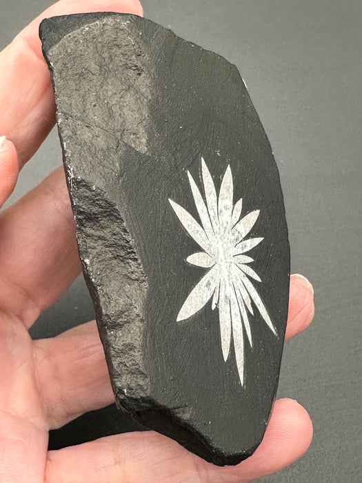 Chrysanthemum Stone - Various Options