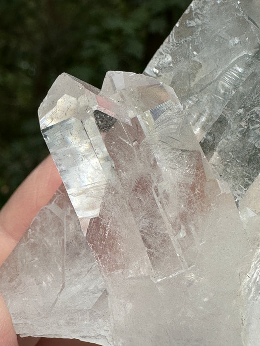 Clear Quartz Point Cluster with natural base