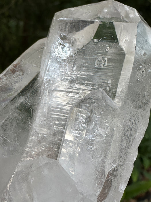 Clear Quartz Point Cluster with natural base