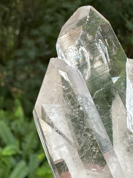 Clear Quartz Point Cluster with natural base