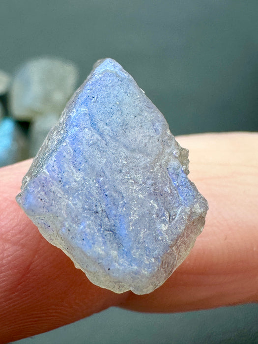 Labradorite High Quality Flashy Specimens - Various Choices