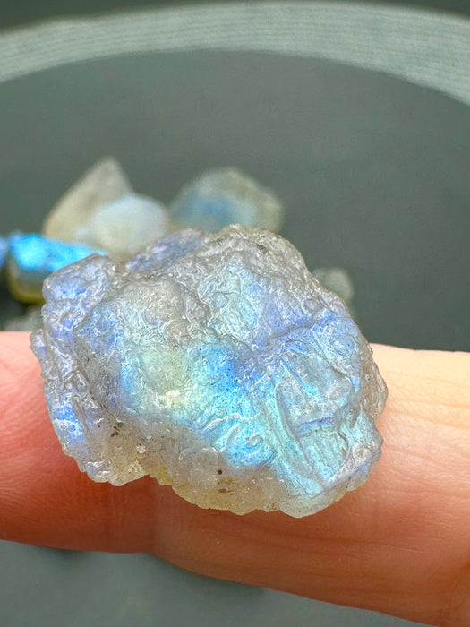 Labradorite High Quality Flashy Specimens - Various Choices
