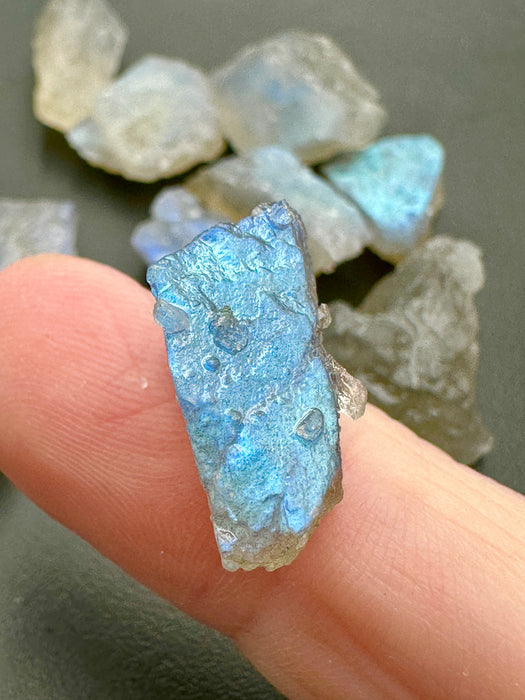 Labradorite High Quality Flashy Specimens - Various Choices