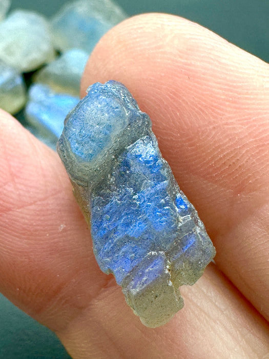 Labradorite High Quality Flashy Specimens - Various Choices