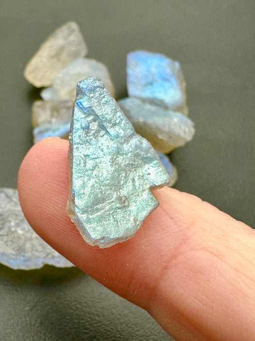 Labradorite High Quality Flashy Specimens - Various Choices
