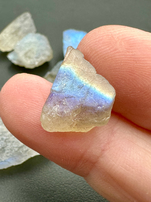 Labradorite High Quality Flashy Specimens - Various Choices