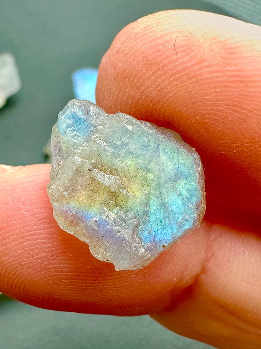 Labradorite High Quality Flashy Specimens - Various Choices