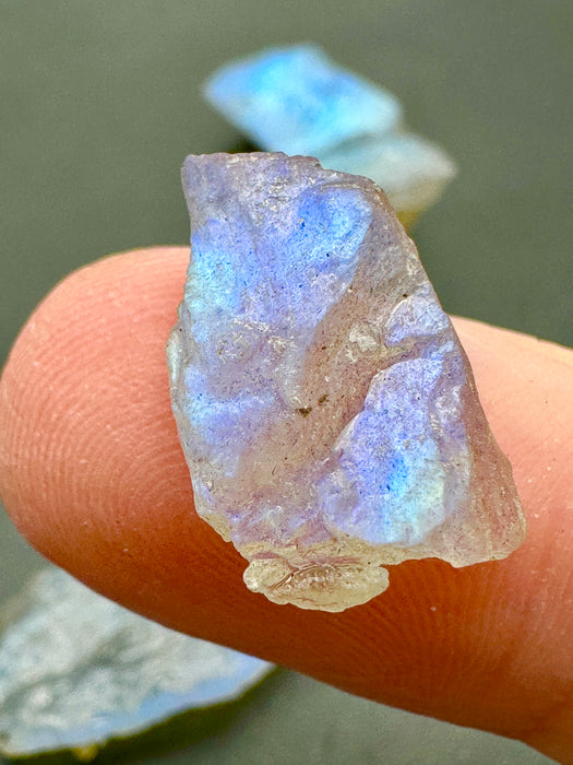 Labradorite High Quality Flashy Specimens - Various Choices