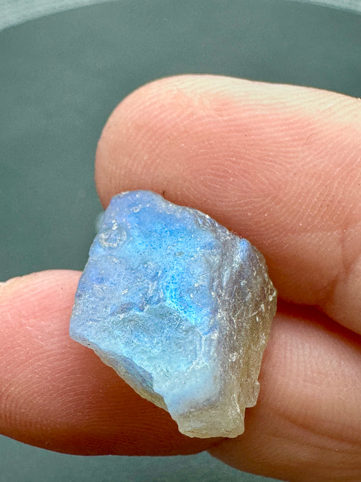 Labradorite High Quality Flashy Specimens - Various Choices