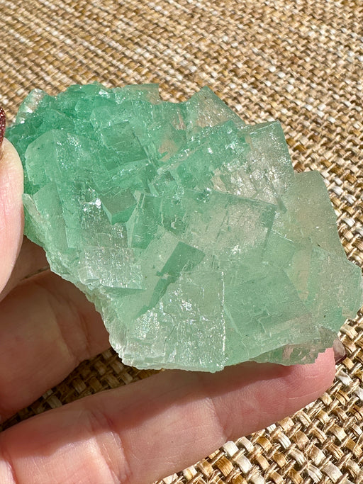 Green Halite Crystal Raw Specimen Cluster