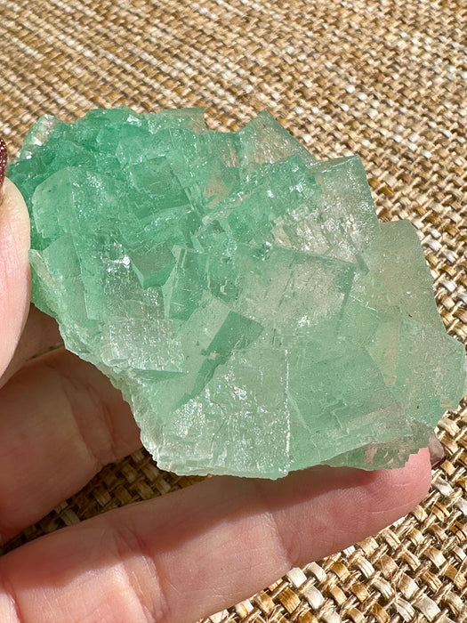 Green Halite Crystal Raw Specimen Cluster
