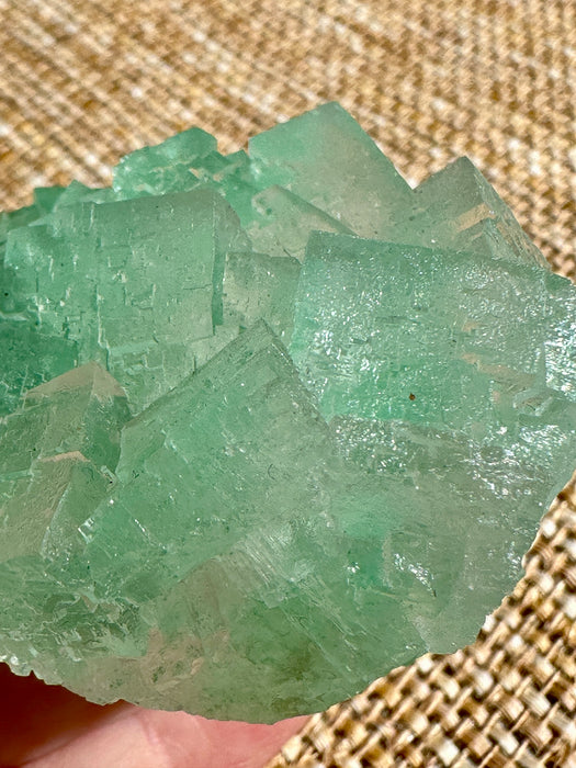 Green Halite Crystal Raw Specimen Cluster