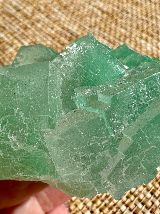 Green Halite Crystal Raw Specimen Cluster