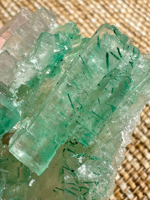 Green Halite Crystal Raw Specimen Cluster