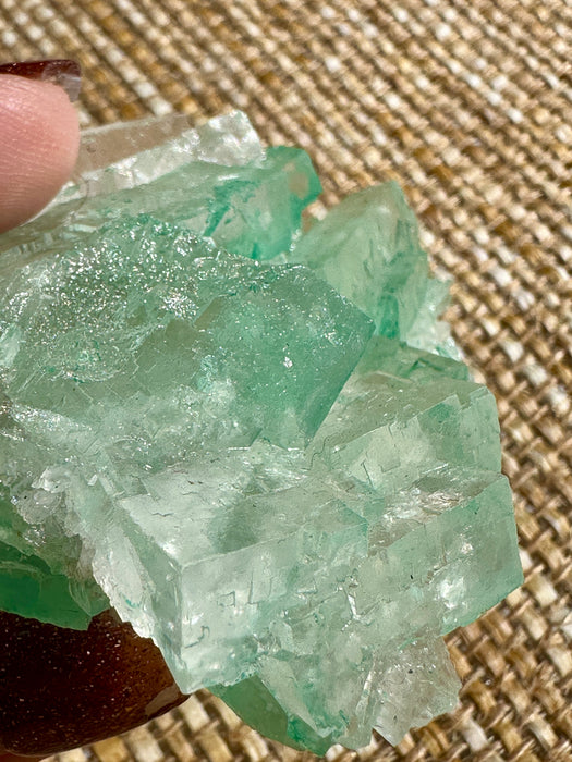 Green Halite Crystal Raw Specimen Cluster